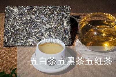 五白茶五黑茶五红茶/2023081230702