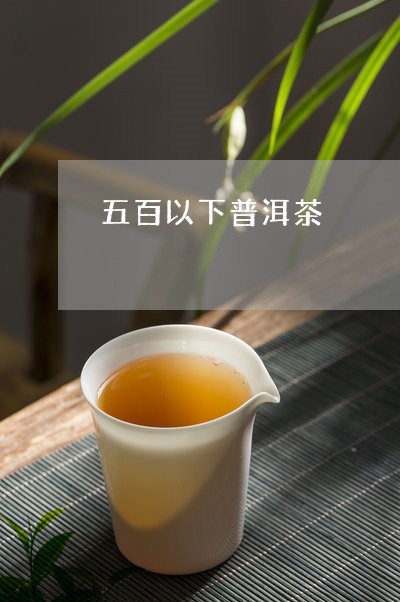 五百以下普洱茶/2023110315172