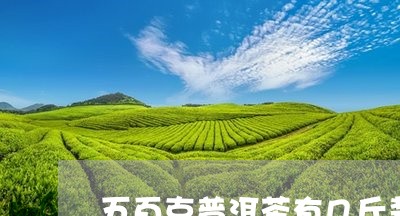 五百克普洱茶有几斤装的/2023110553047