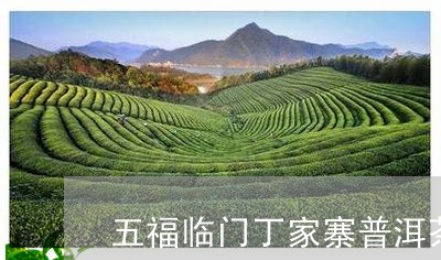 五福临门丁家寨普洱茶/2023092523937