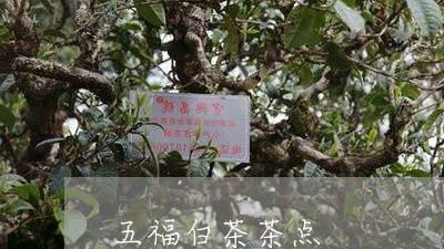 五福白茶茶点/2023051203288