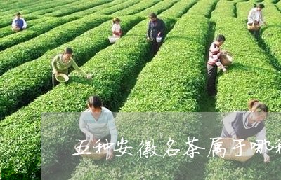 五种安徽名茶属于哪种茶类/2023051107948
