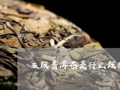 五级普洱茶是什么级别/2023062339372