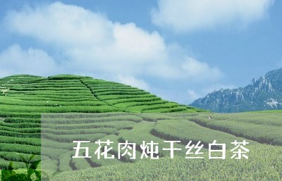 五花肉炖干丝白茶/2023061425846