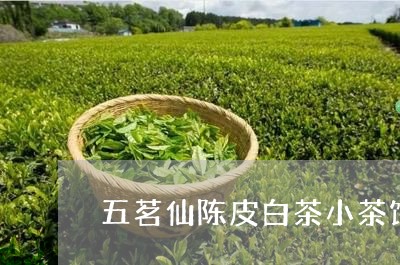 五茗仙陈皮白茶小茶饼/2023092684924