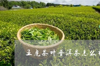 五虎茶叶普洱茶怎么样/2023080782712