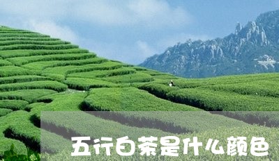 五行白茶是什么颜色/2023071469403