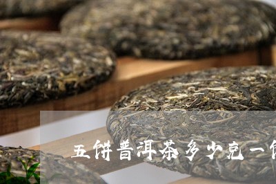 五饼普洱茶多少克一饼/2023072493856