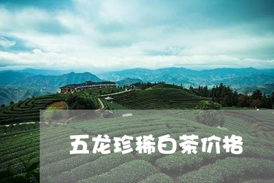 五龙珍稀白茶价格/2023061420714