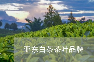 亚东白茶茶叶品牌/2023061409704