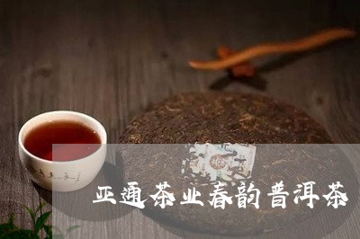 亚通茶业春韵普洱茶/2023072492838