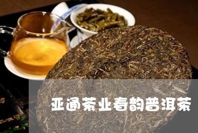 亚通茶业春韵普洱茶/2023092876369