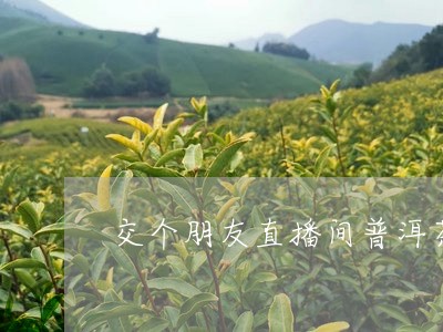 交个朋友直播间普洱茶/2023081623248