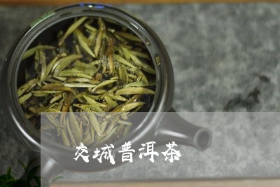 交城普洱茶/2023090564936