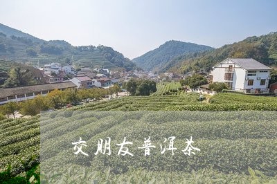 交朋友普洱茶/2023112661782