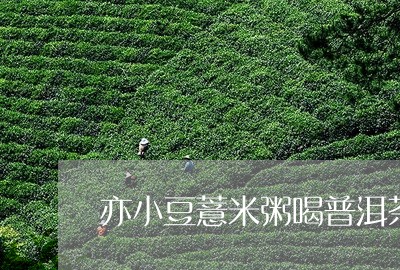 亦小豆薏米粥喝普洱茶/2023062299486