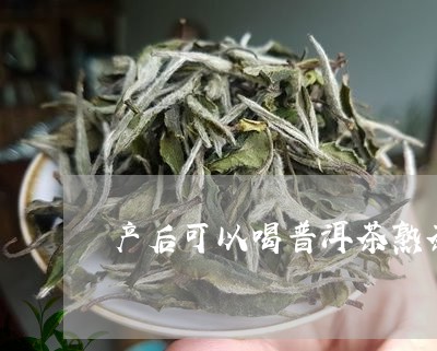 产后可以喝普洱茶熟茶/2023080394915