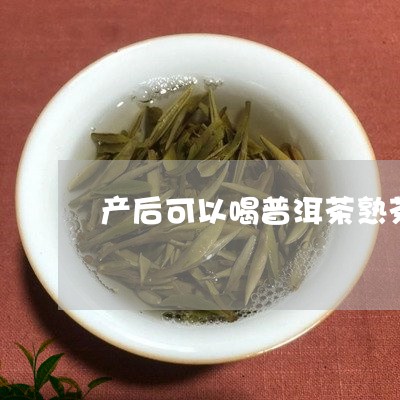 产后可以喝普洱茶熟茶/2023100722692