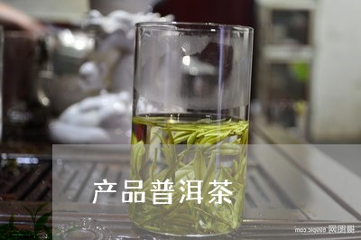 产品普洱茶/2023090531715