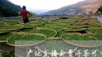 产地直播卖普洱茶可以吗/2023103152725