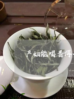 产妇能喝普洱茶熟茶吗/2023063016251