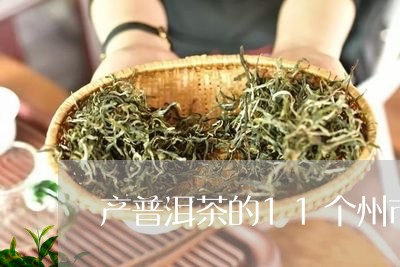 产普洱茶的11个州市/2023072489271