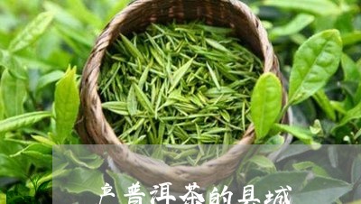 产普洱茶的县城/2023082826160