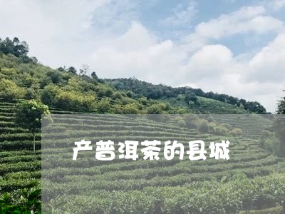 产普洱茶的县城/2023110518272