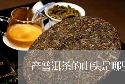 产普洱茶的山头是哪里的/2023082406249