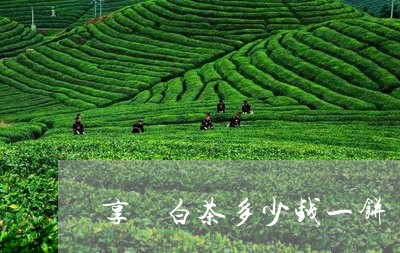 享尓白茶多少钱一饼/2023081226260