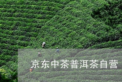 京东中茶普洱茶自营/2023091505969