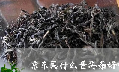 京东买什么普洱茶好喝又实惠/2023052915268