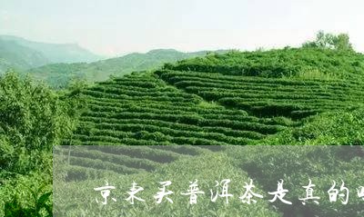 京东买普洱茶是真的吗/2023062285149