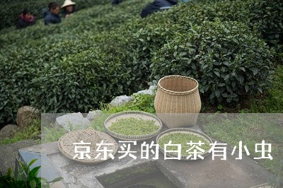 京东买的白茶有小虫/2023121670837