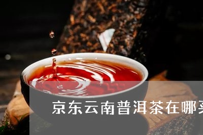 京东云南普洱茶在哪买正宗/2023082558615