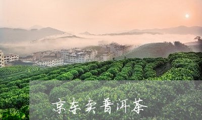 京东卖普洱茶/2023042642468