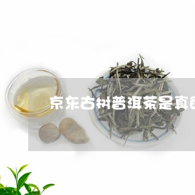 京东古树普洱茶是真的吗/2023050582614