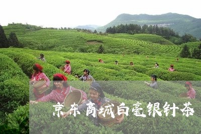 京东商城白毫银针茶/2023081263947