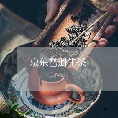 京东普洱生茶/2023090793803