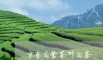 京东自营茶叶白茶/2023061464947