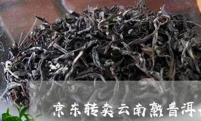 京东转卖云南熟普洱茶/2023100687270