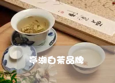 亭湖白茶品牌/2023051240272