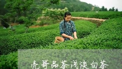 亮哥品茶浅谈白茶/2023061440472