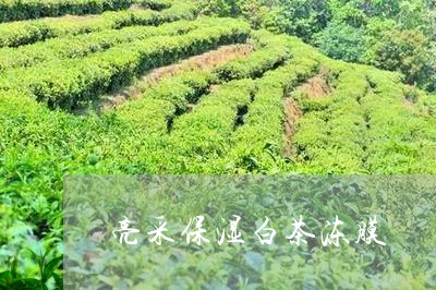 亮采保湿白茶冻膜/2023061480584