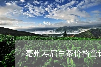 亳州寿眉白茶价格查询表/2023092413626