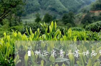 亳州正宗普洱茶饼品牌排行/2023112412026