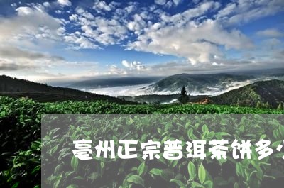 亳州正宗普洱茶饼多少钱/2023050588391