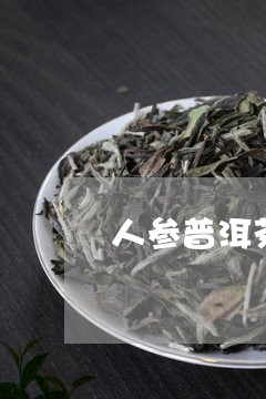 人参普洱茶一天喝多少/2023092763814