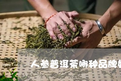 人参普洱茶哪种品牌好/2023062724138