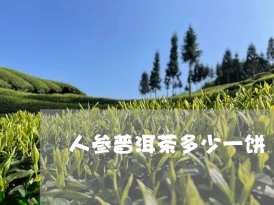 人参普洱茶多少一饼/2023120581506